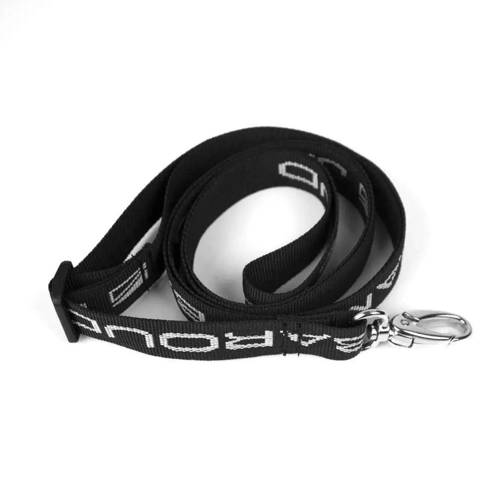 Leash