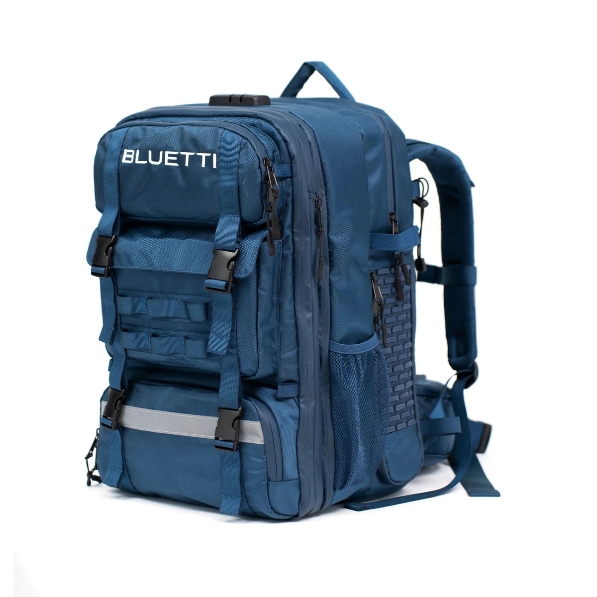 view of the bag only