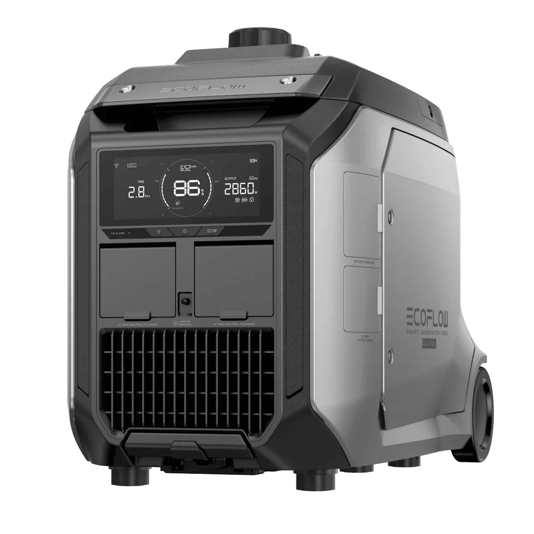 Dual Fuel Generator