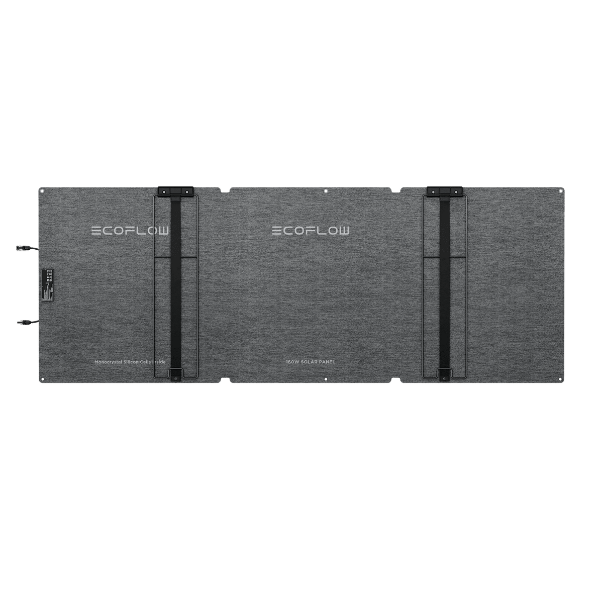 Rear view with ecoflow name