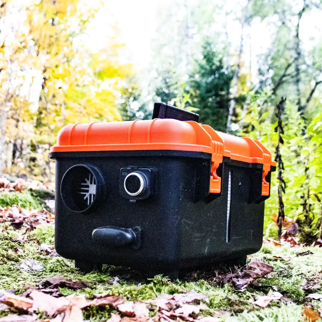 View in the forest