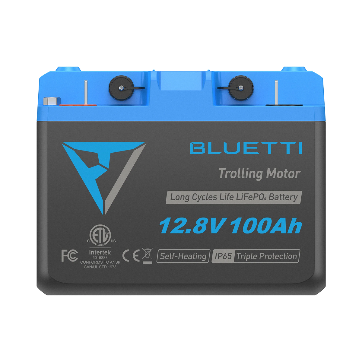 Batterie Lithium Solaire pour Van 100Ah