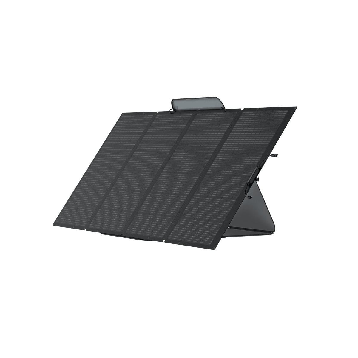 Large view