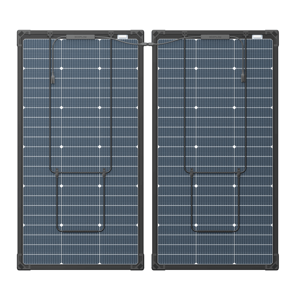 Rear view of bifacial