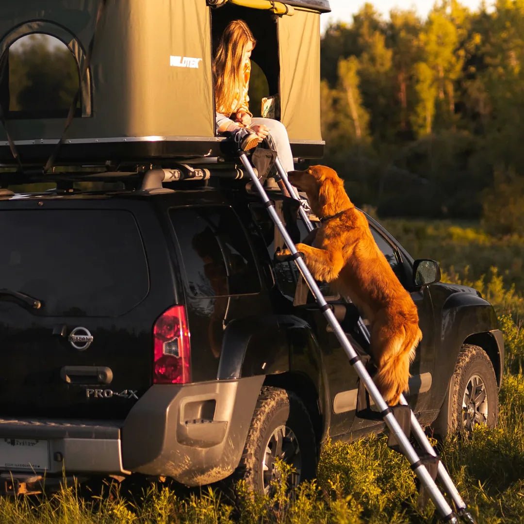 Soft steps for dog going on a roof top tent