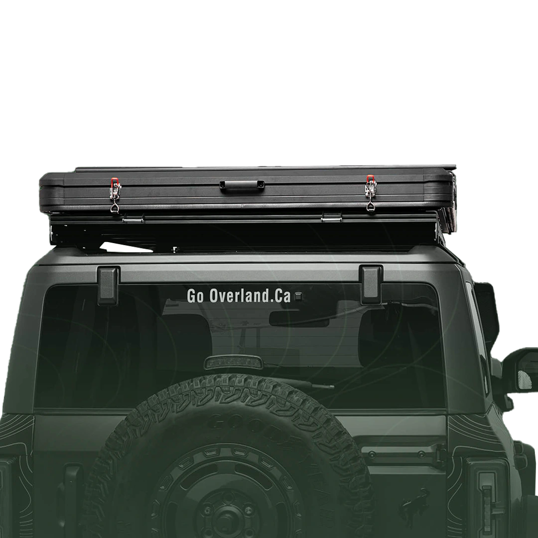 Rear view